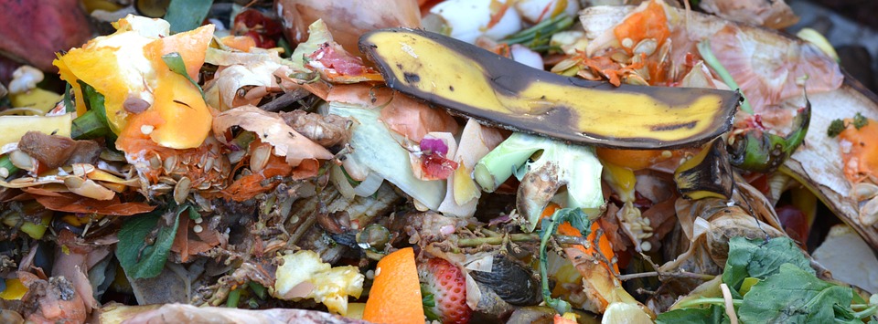 Engineers to Turn Trash To Treasure